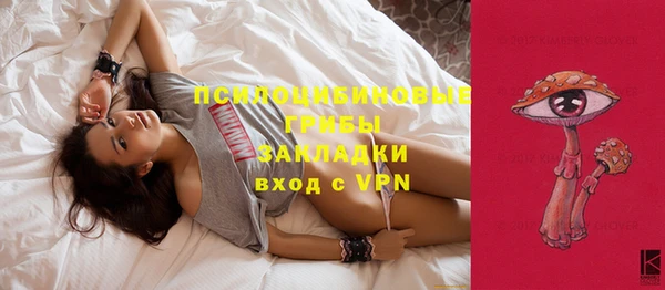 молекула духа Чита