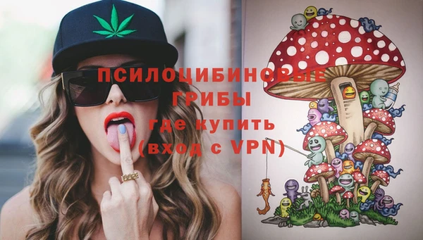 молекула духа Чита