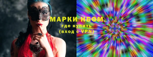 индика Вязники