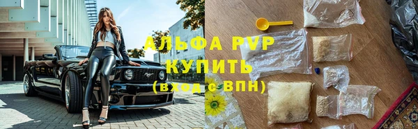 молекула духа Чита