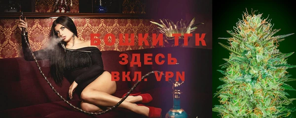 молекула духа Чита