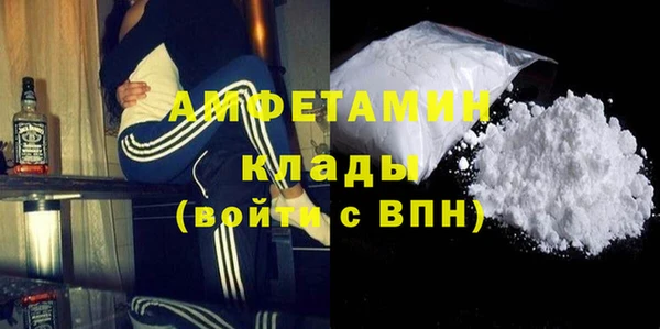 молекула духа Чита